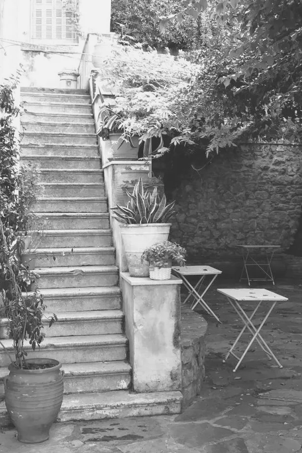 Avli BY TASHAS — photo 80