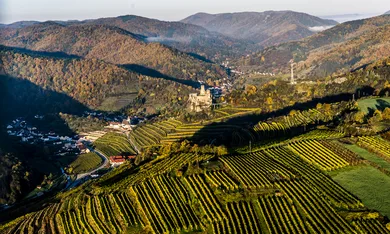 Weingut Nigl — photo 33