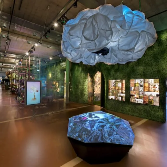 Botanical Rooms — photo 4
