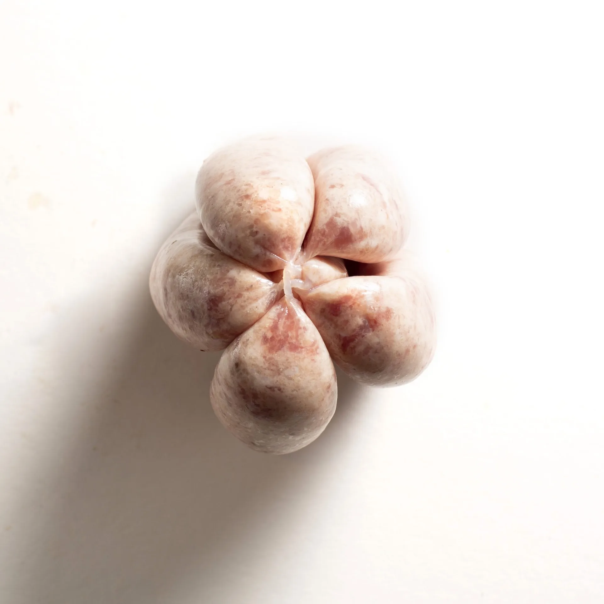 Olive Tree — photo 28