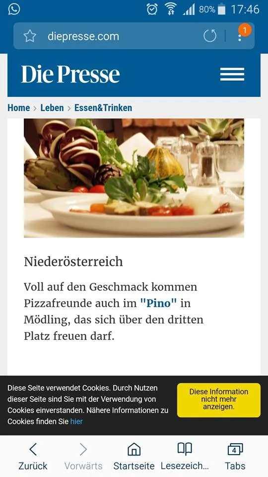 Pino — photo 9