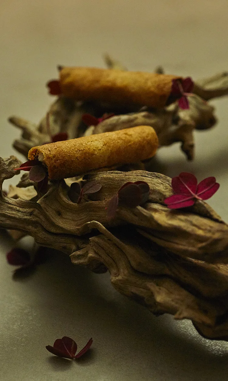 capi — food