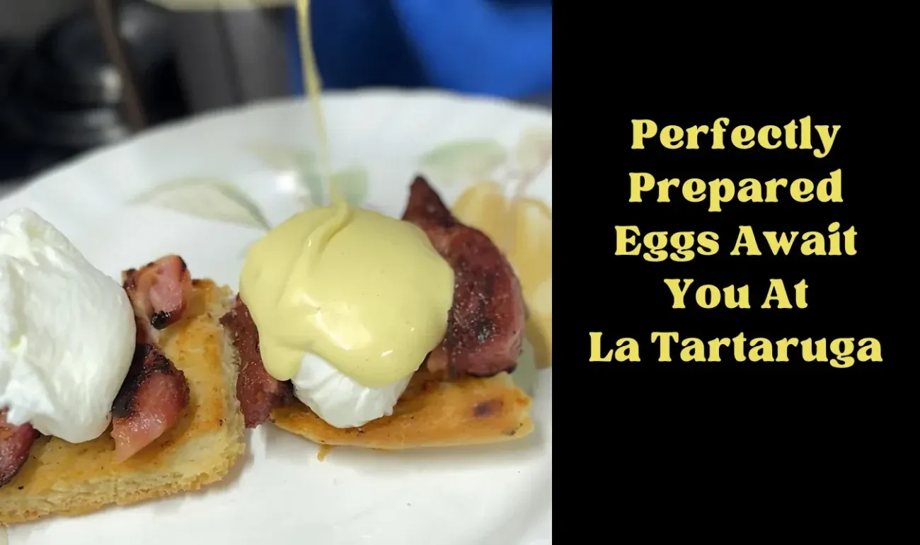 La Tartaruga Restaurant — photo 20