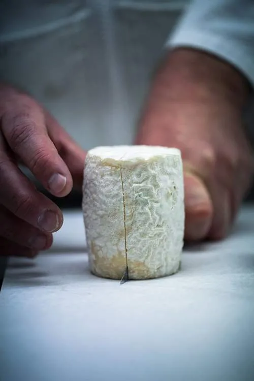 Frédéric Doucet — kitchen