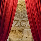 ZOI — photo 18