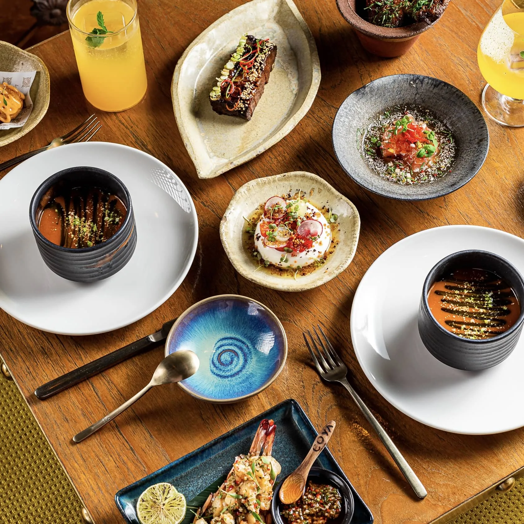 Coya — photo 11