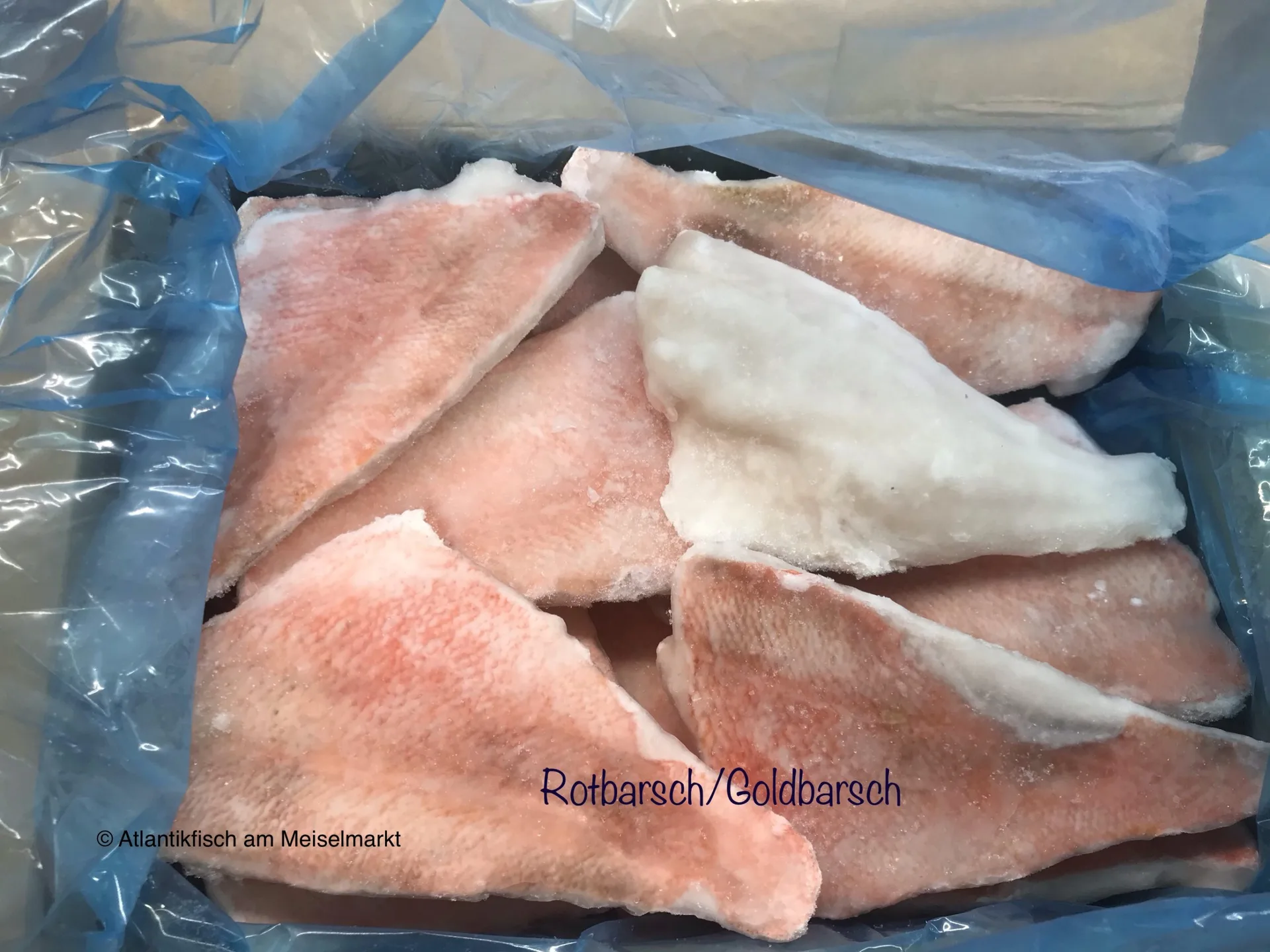Atlantik Fisch — photo 94