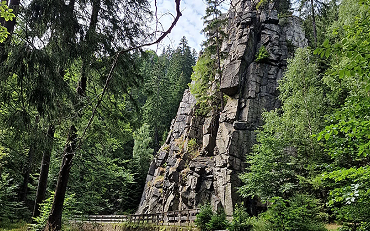Restaurant Schwarzbeerschänke — photo 9