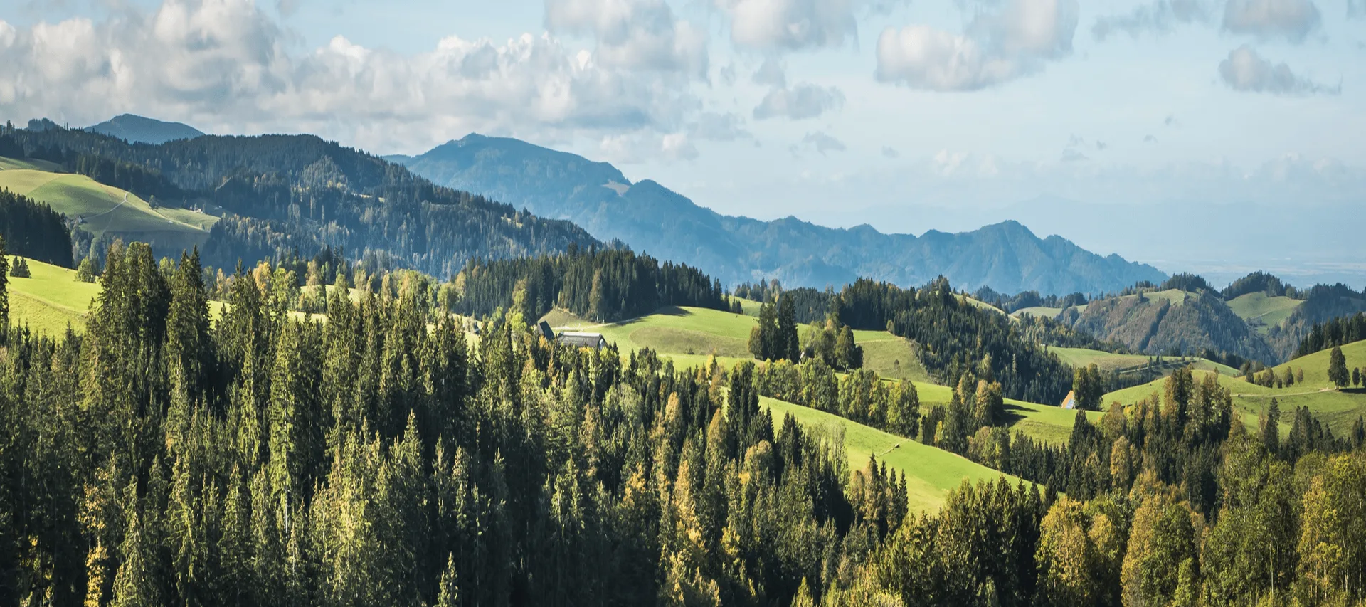 Waldshuter Hof — photo 18