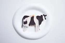 Somni — food