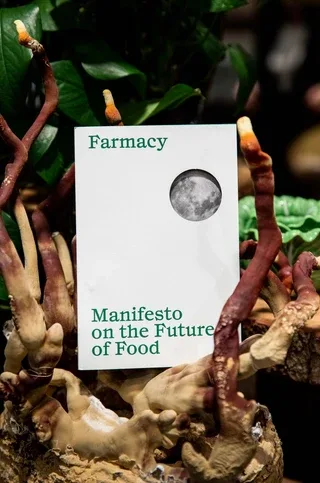Farmacy — photo 10