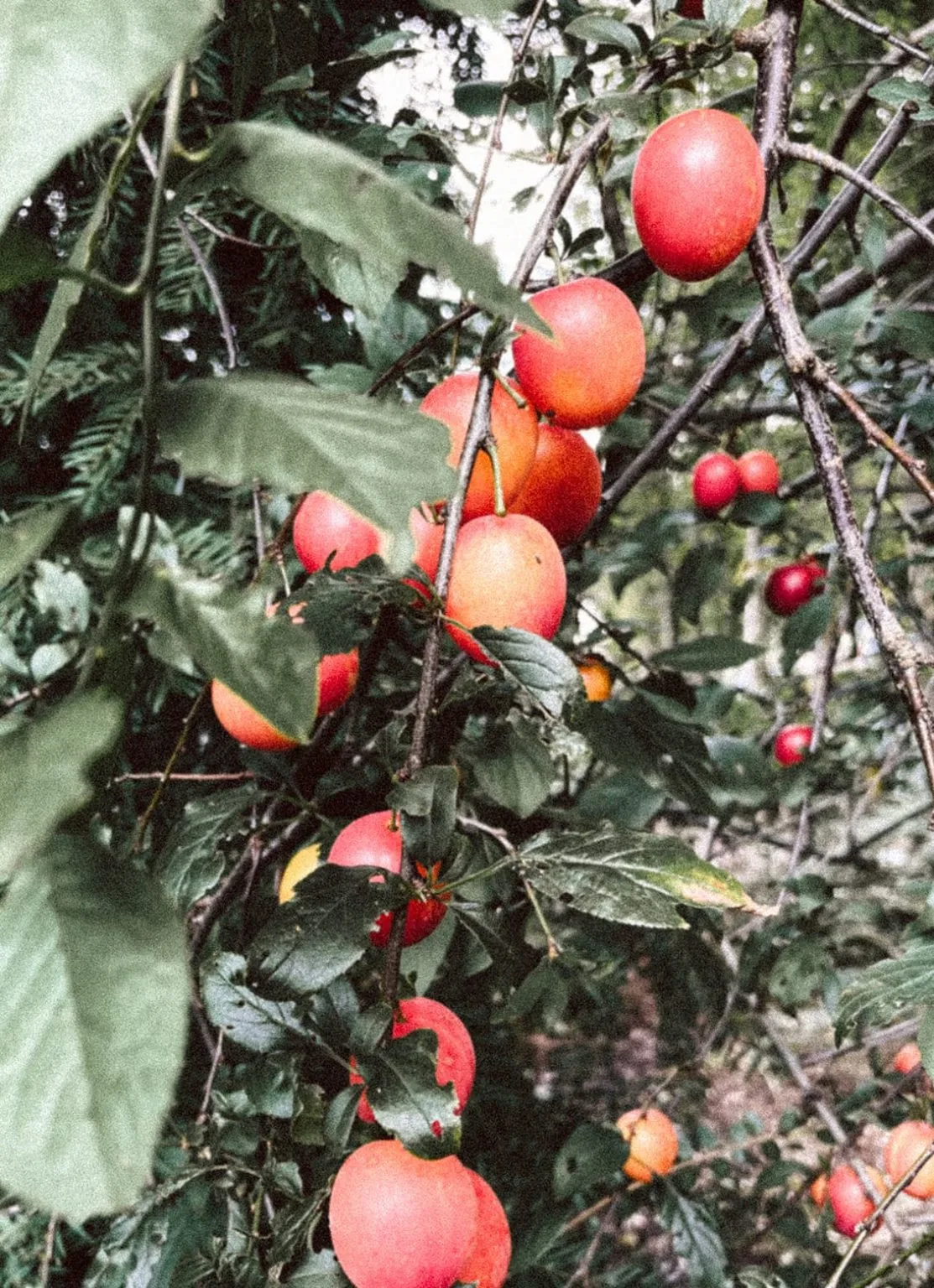 Aendrè — photo 17