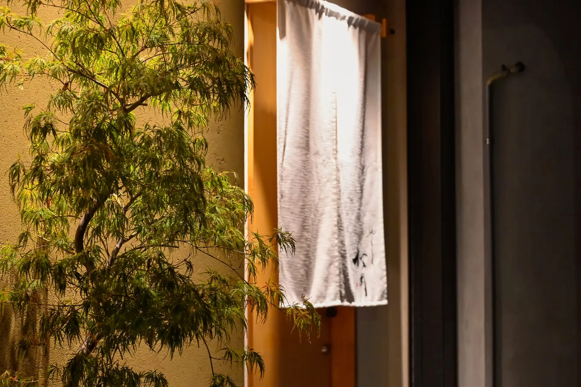 Yakitori Matsuoka — photo 8