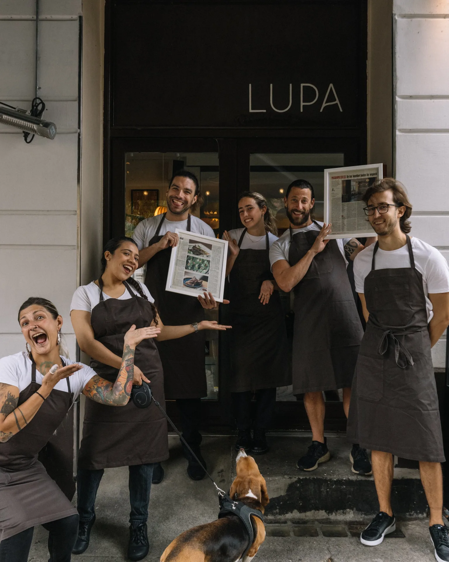 Bistro Lupa — photo 12