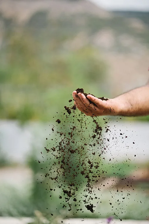 Soil — photo 15
