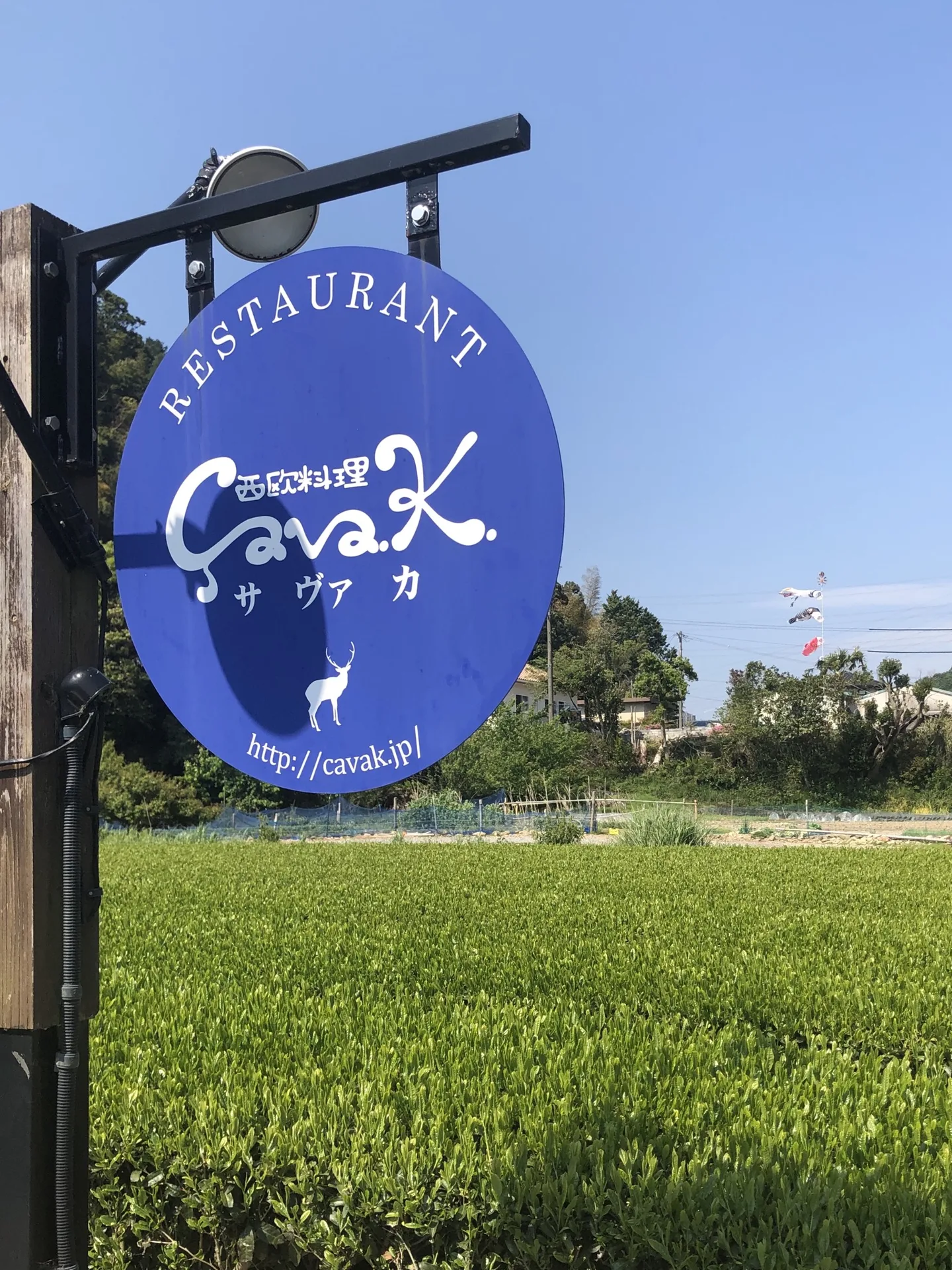 Çava.K. — photo 34