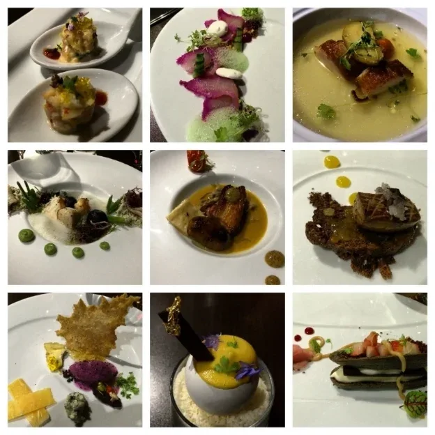 Flying Fish GastroBar — photo 13