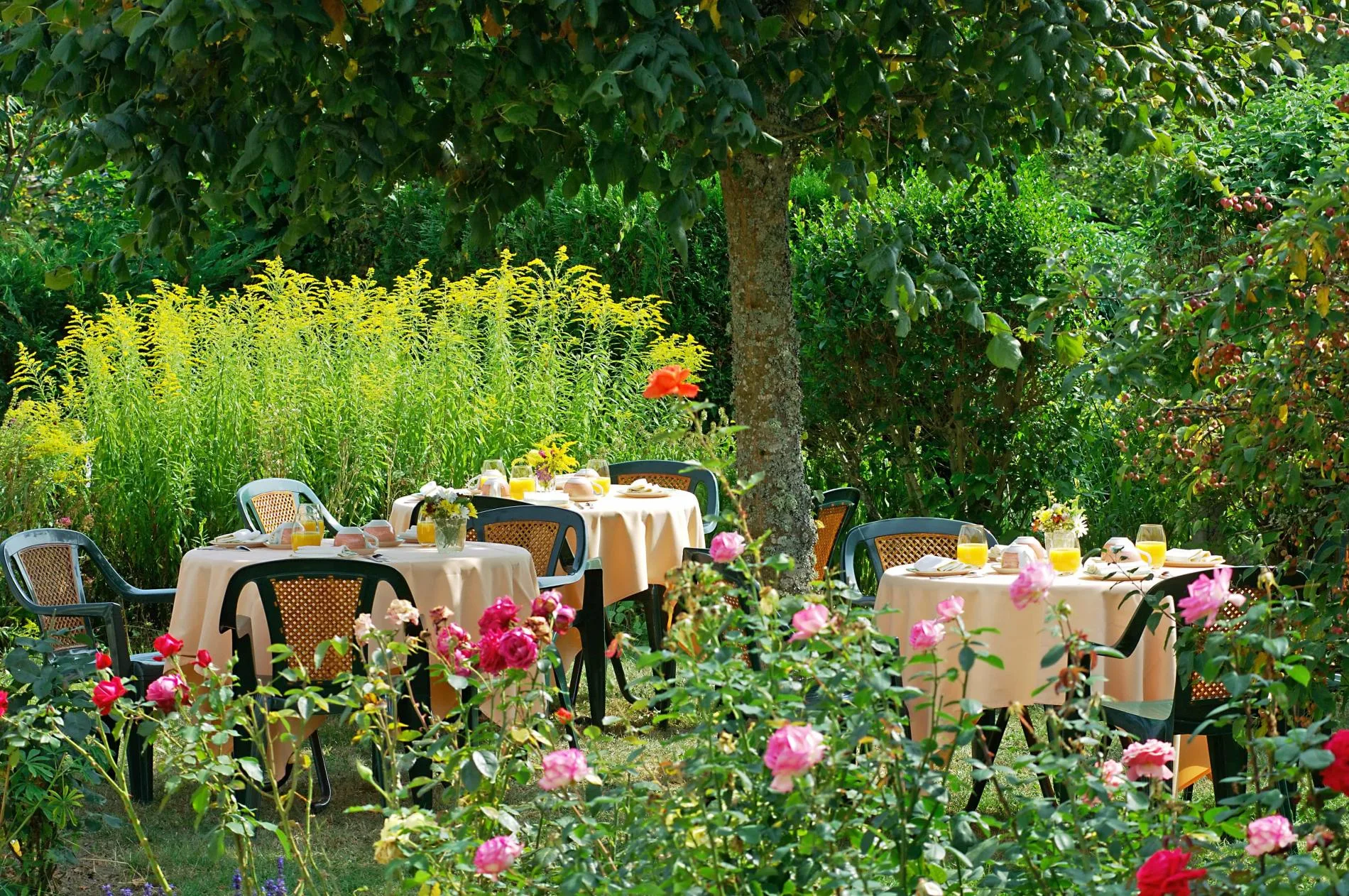 Le Morvan — photo 18