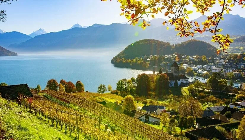 Hotel Eden Spiez — photo 24