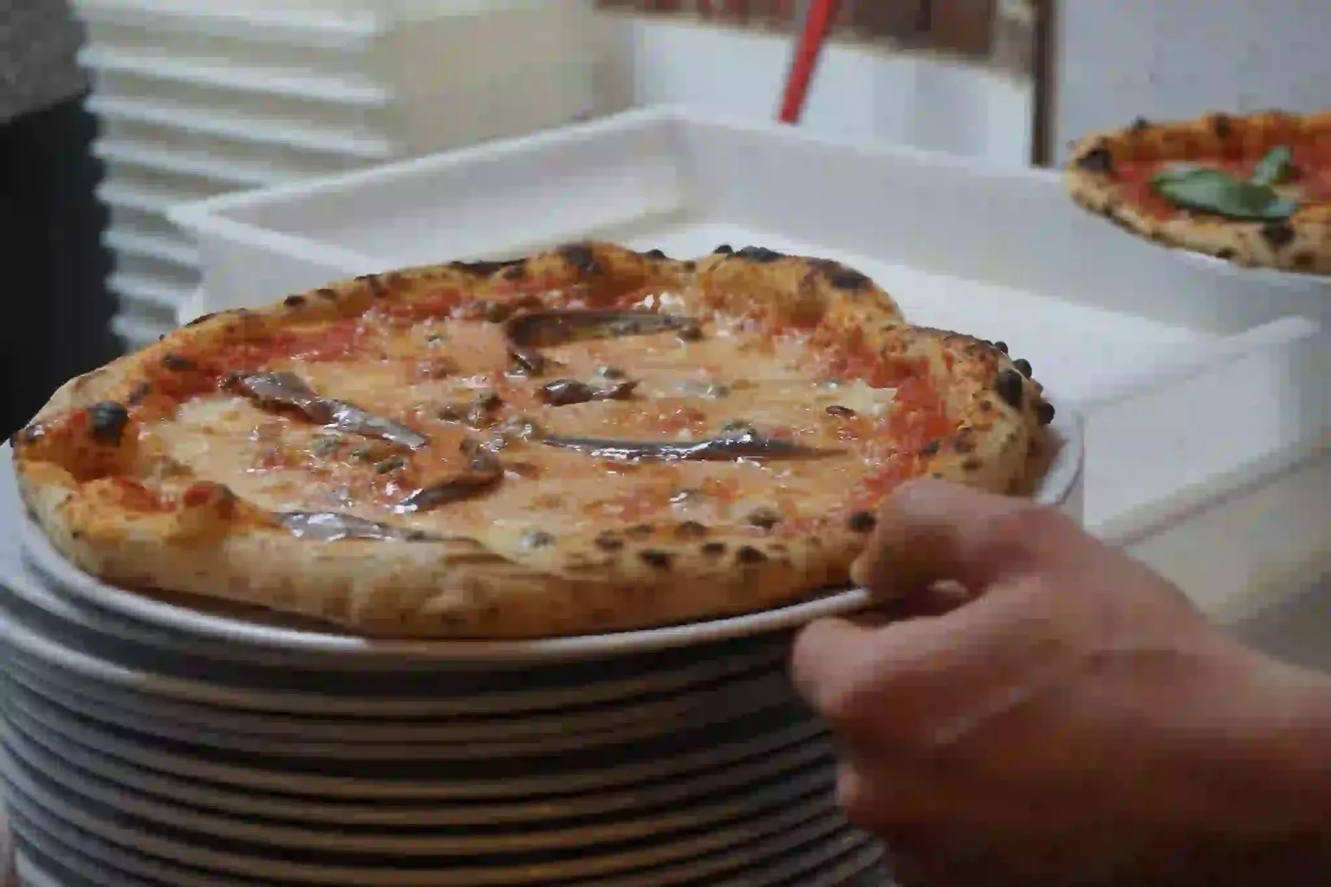 Pizza Vino — photo 9