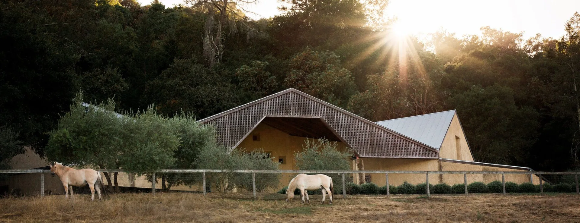 Farmstead — photo 41