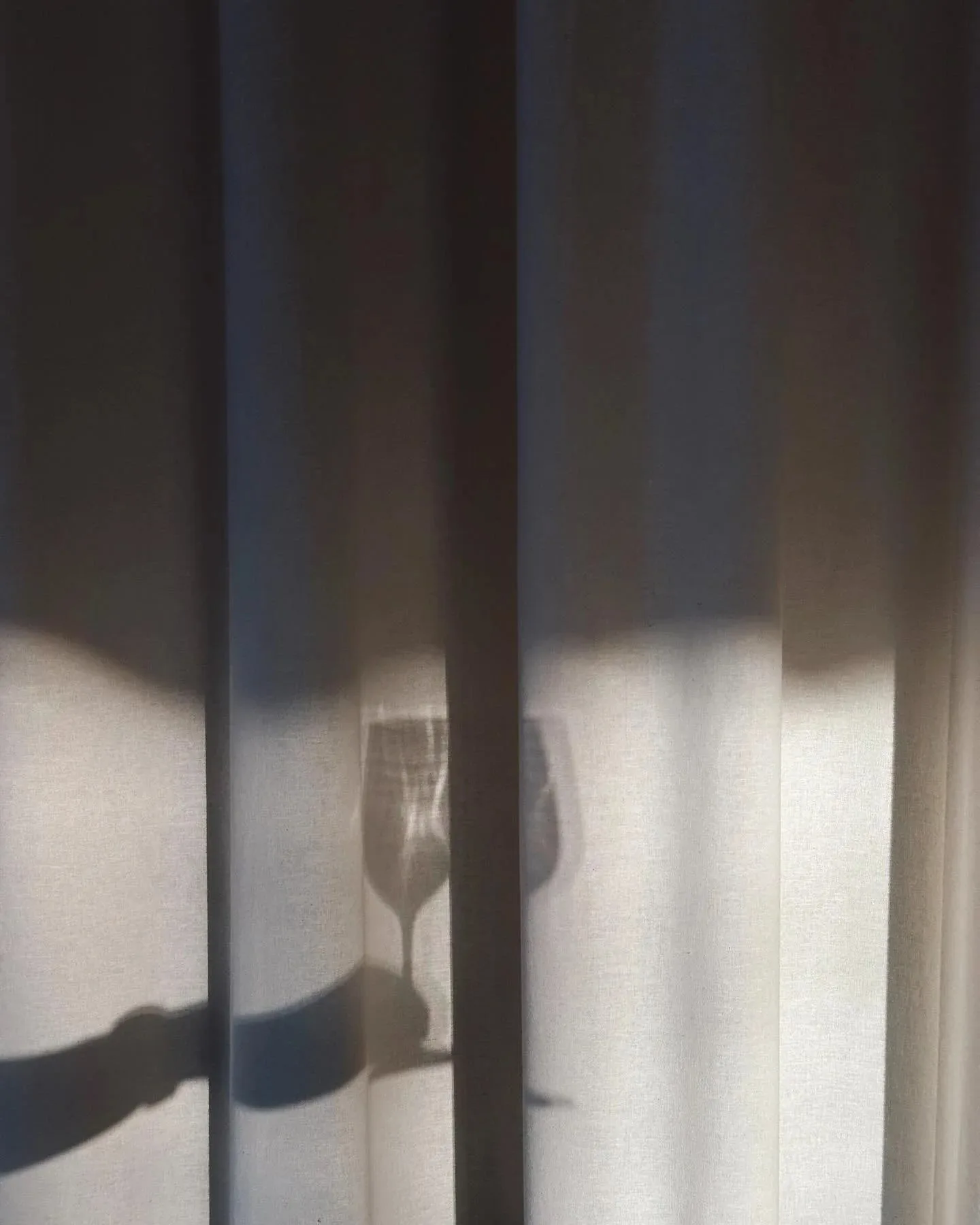 Vangroenten — photo 8