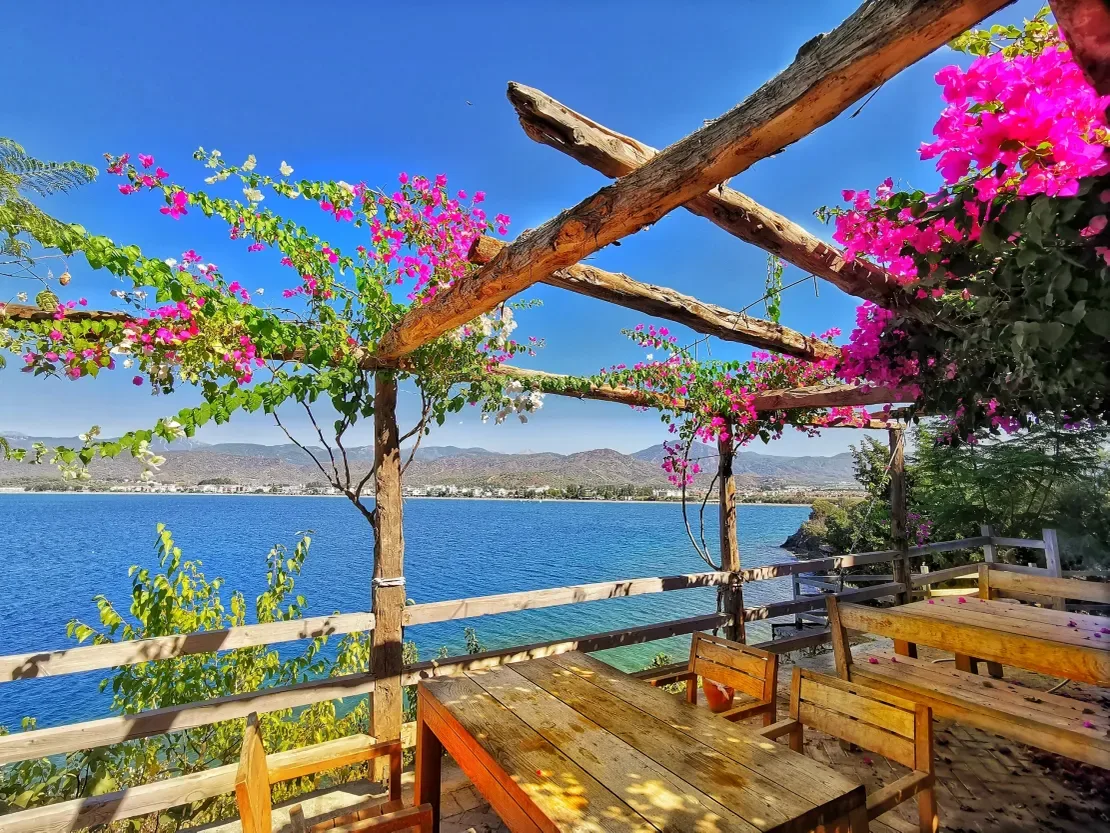 ADA Restaurant — photo 13