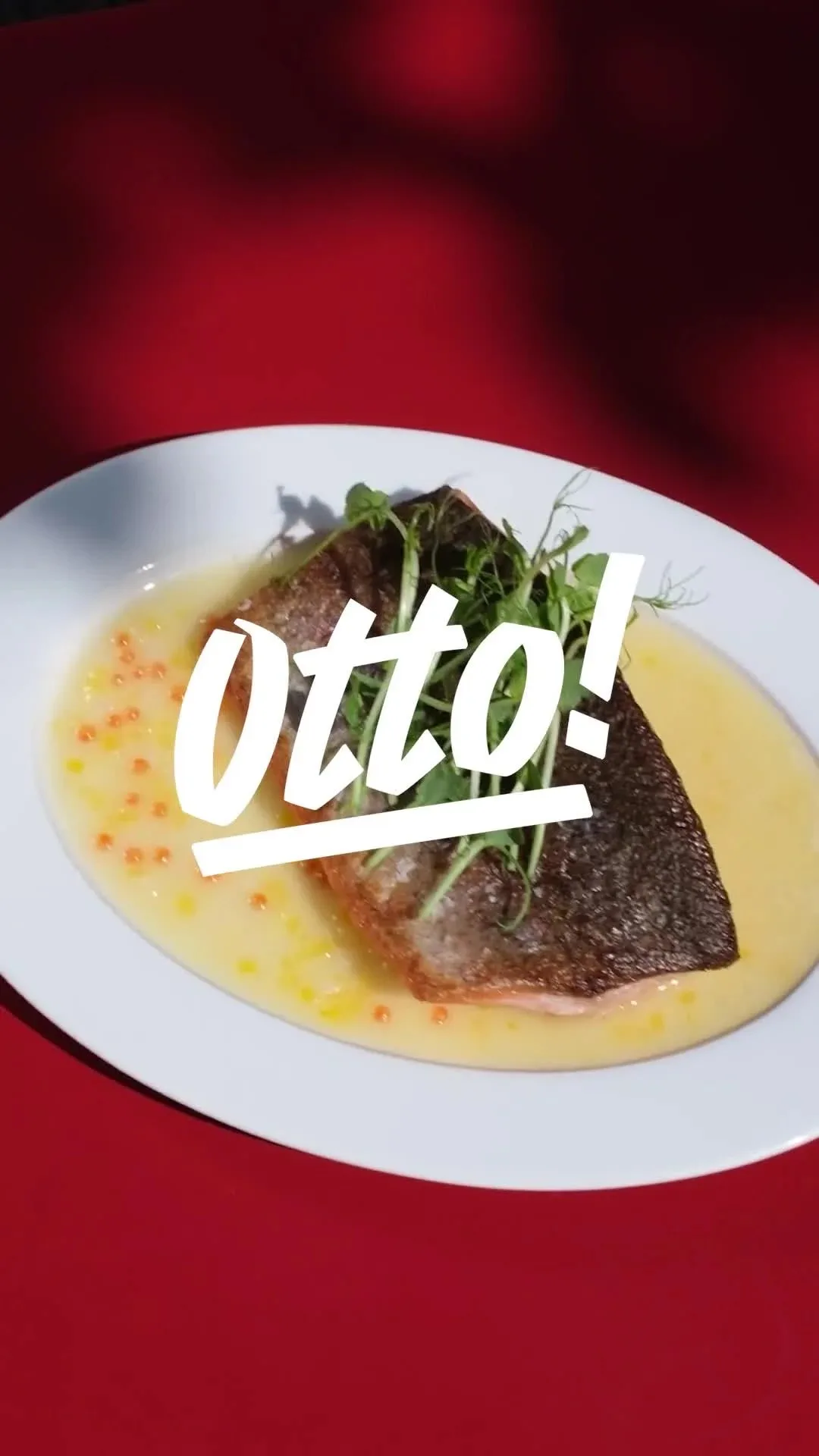 bistro Otto! — photo 5