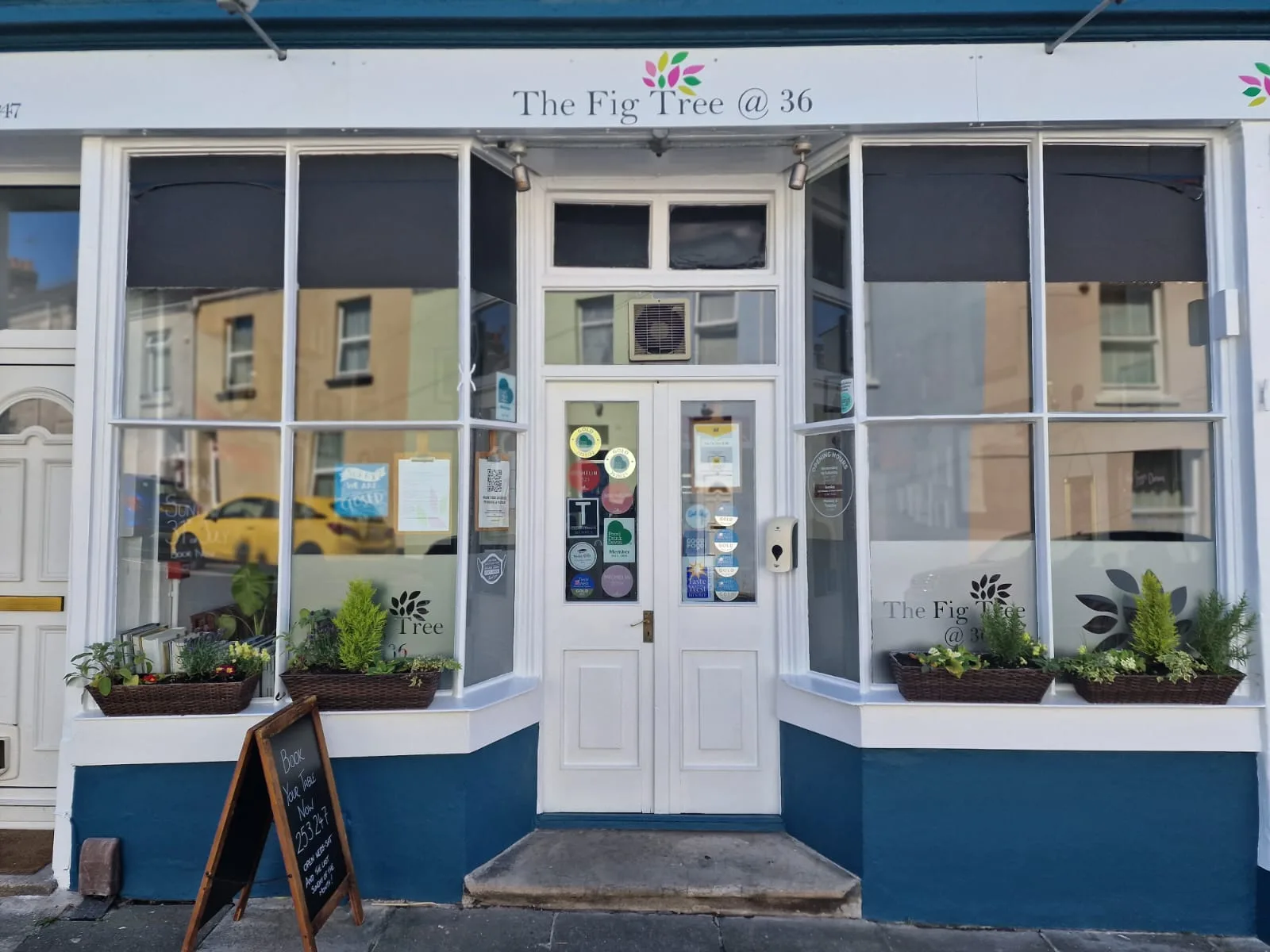 The Fig Tree @ 36 — photo 13