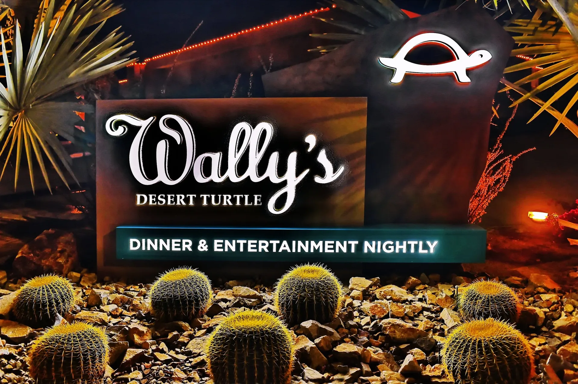 Wally's Desert Turtle — photo 43