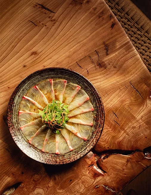 ROKA — photo 14