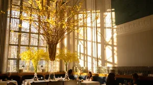 Eleven Madison Park — photo 7