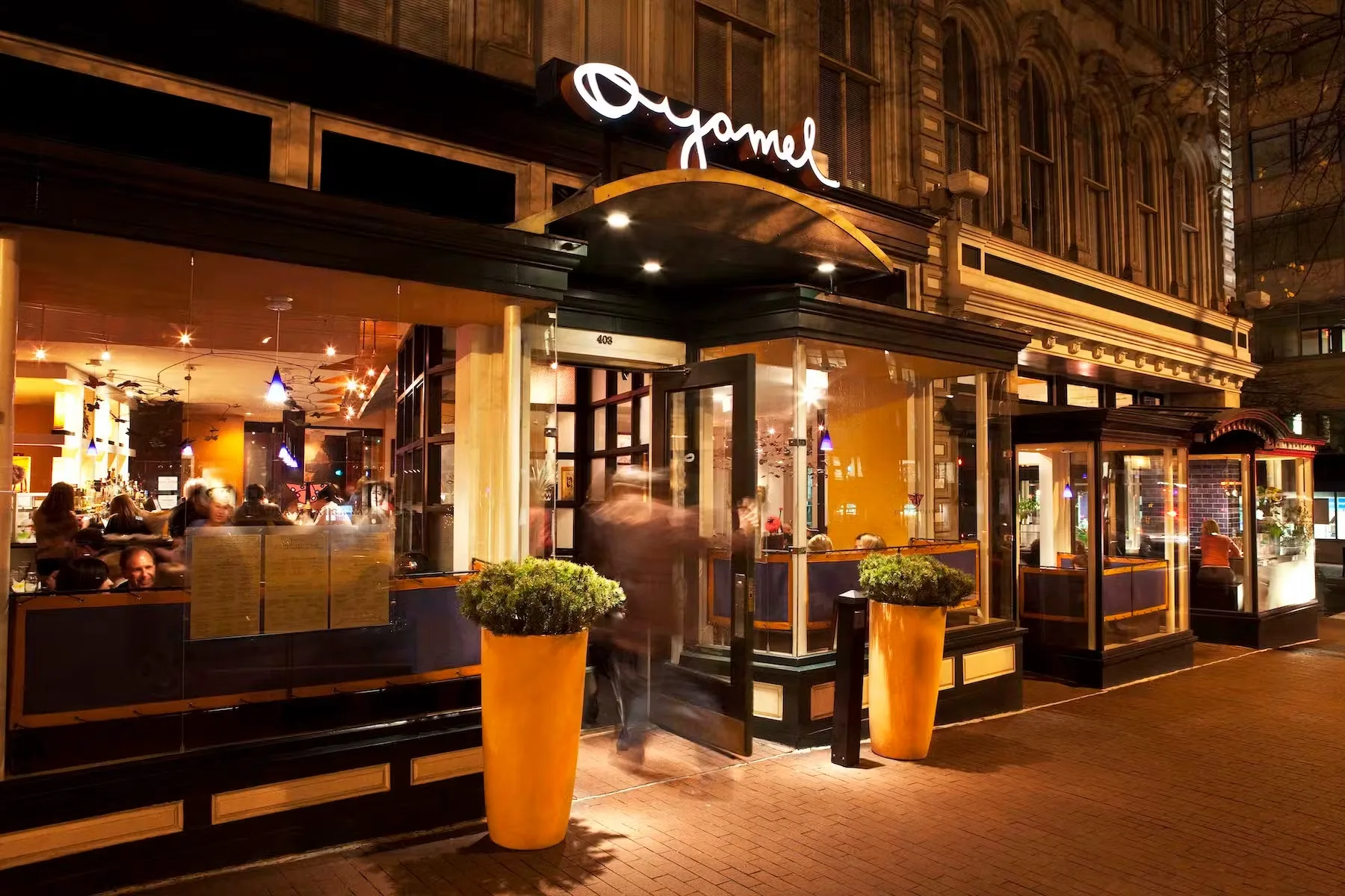 Oyamel — photo 8