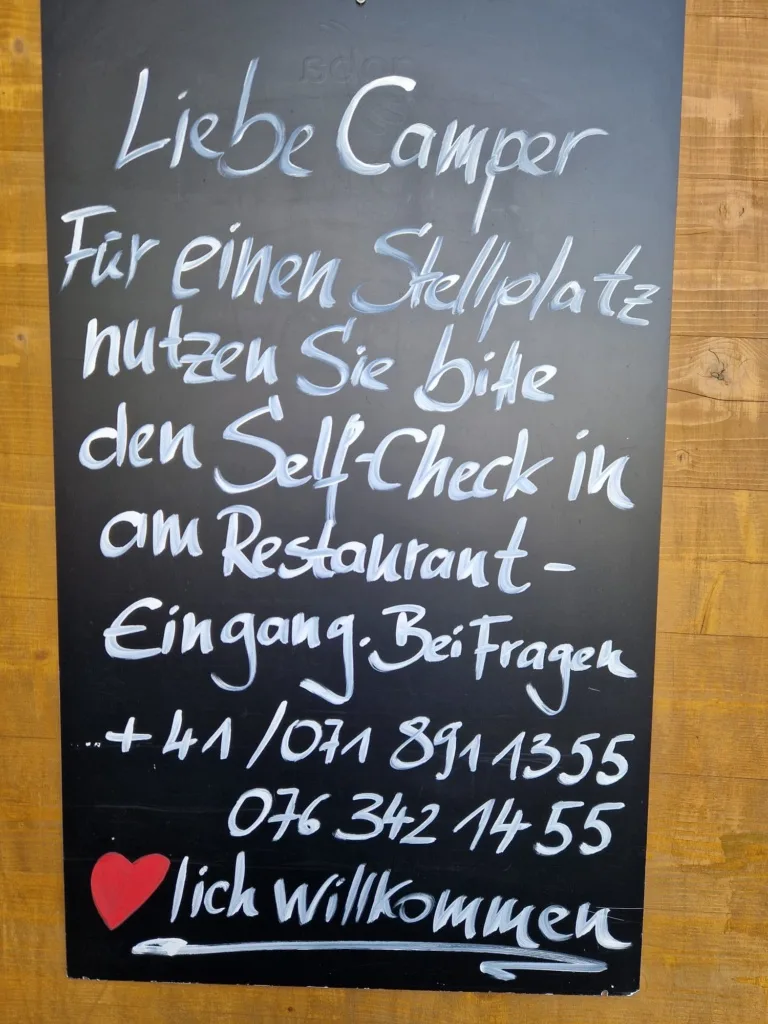 Bären — photo 19
