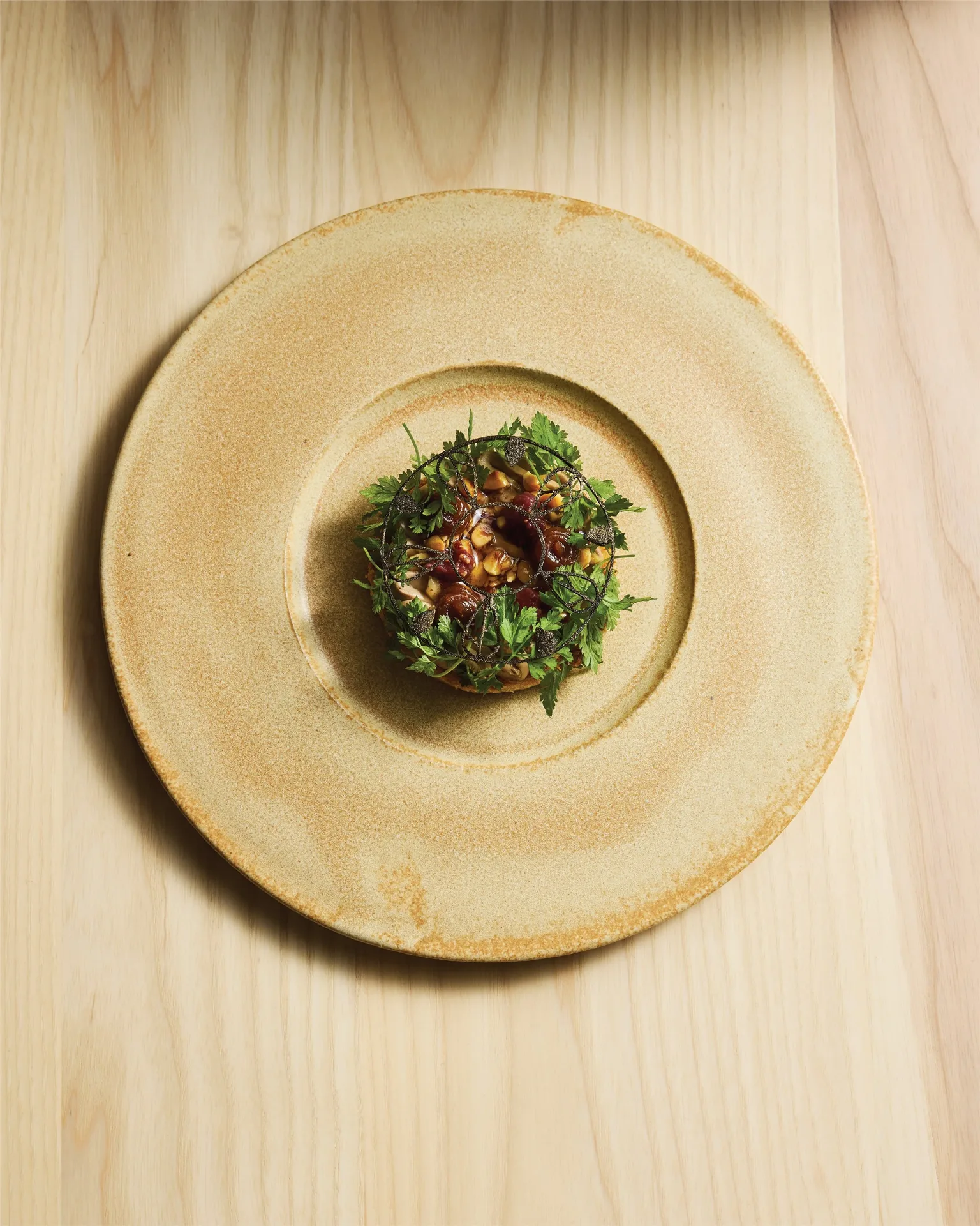 Aristo — photo 16