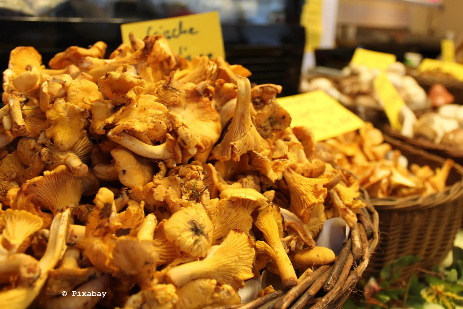 Wirtschaft. am Markt — photo 48