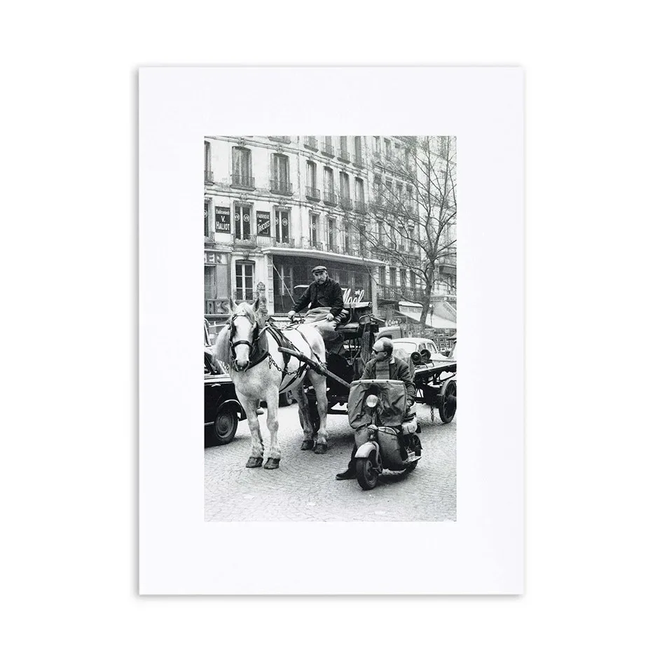 Portfolio — photo 15