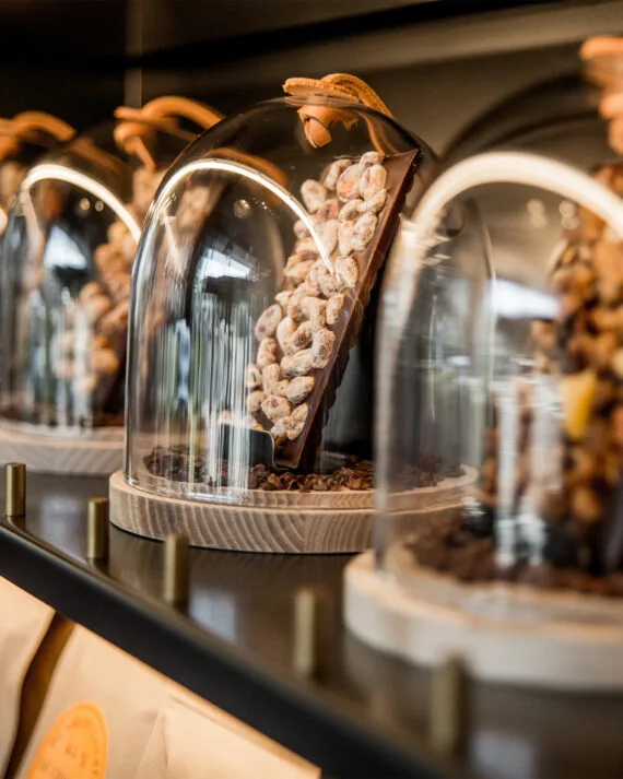 Alain Ducasse — photo 45