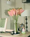 Luma — photo 8