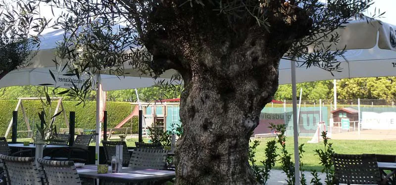 Restaurant Campus — photo 94