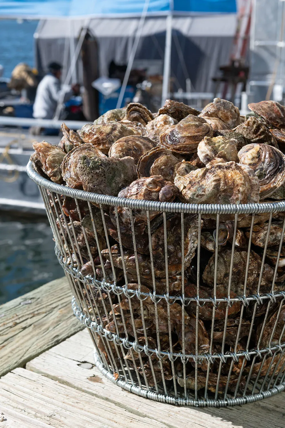 The Restaurant At Rowayton Seafood — photo 84