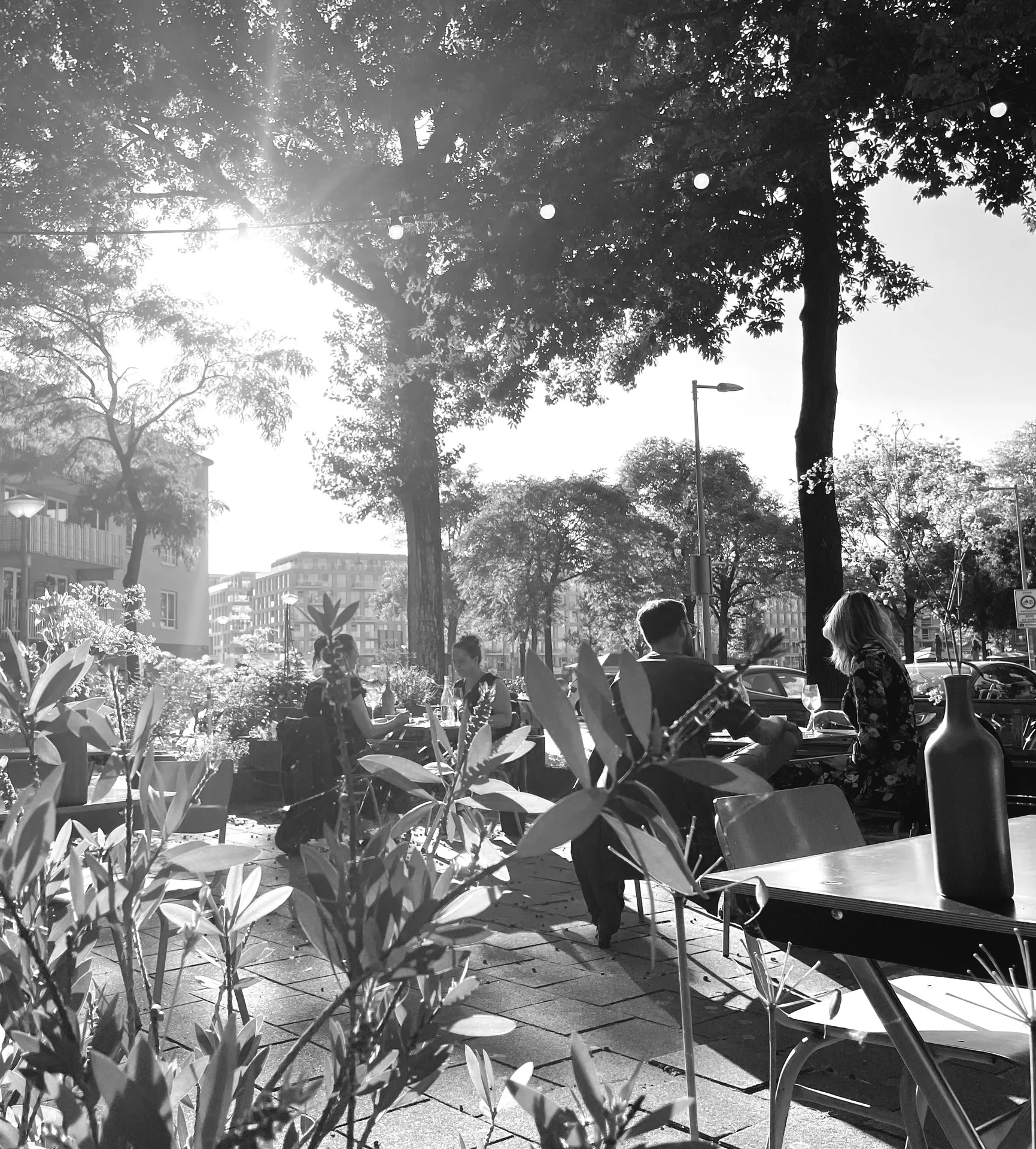 Café Modern — photo 36