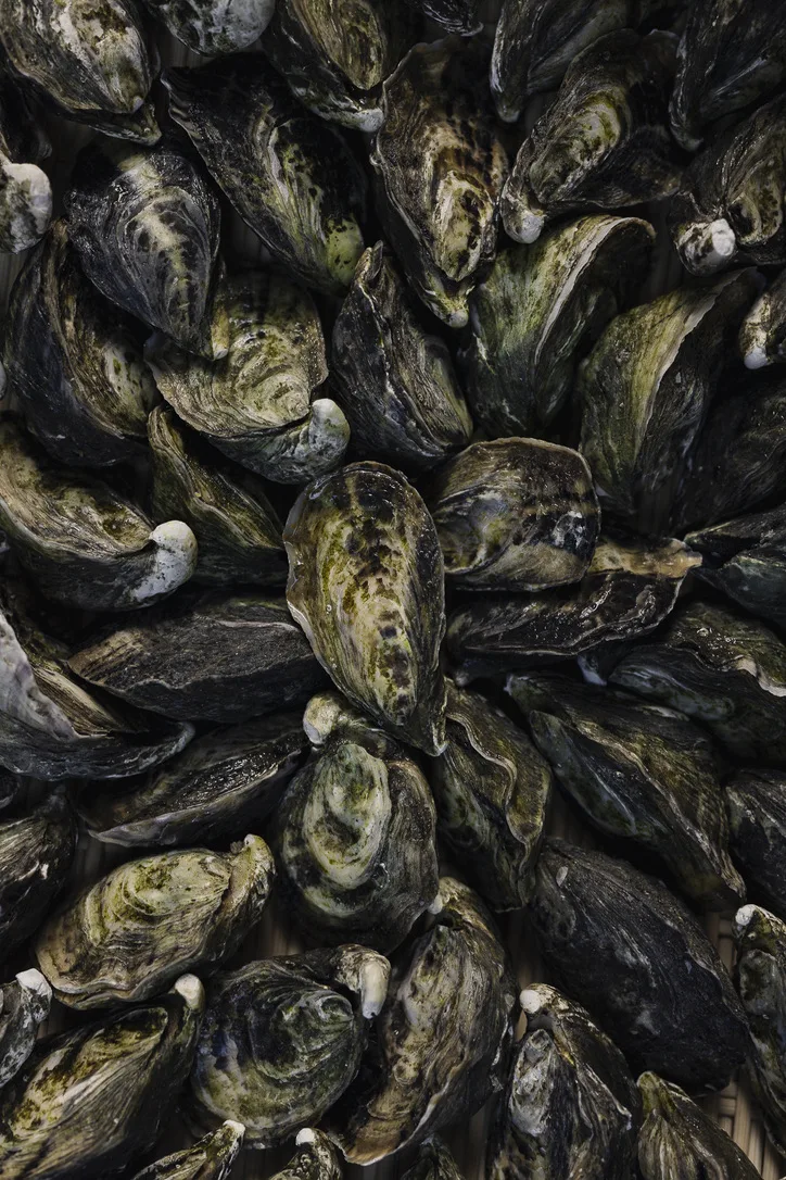 Sarde — photo 4