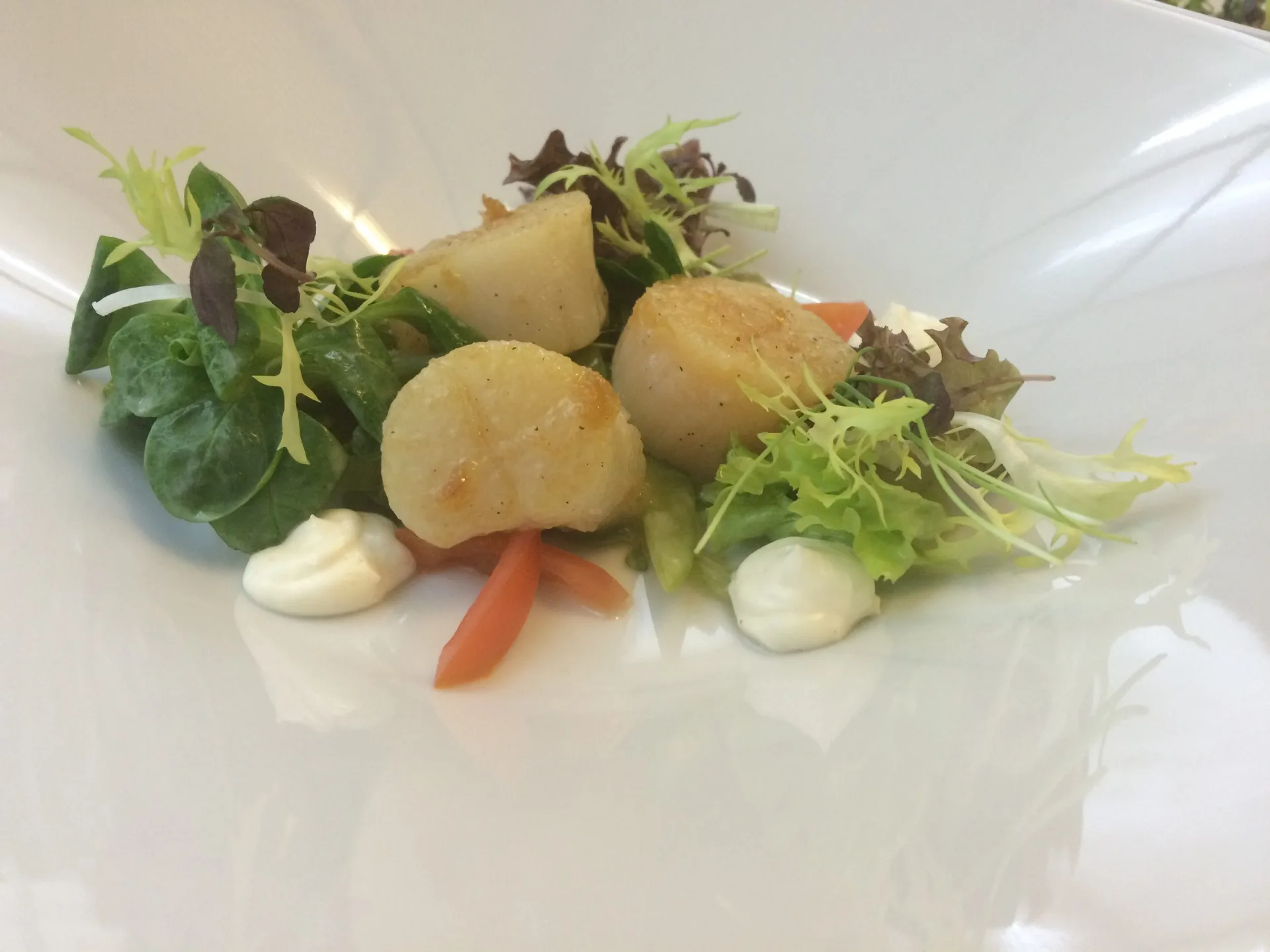Restaurant Hessischer Hof — photo 9