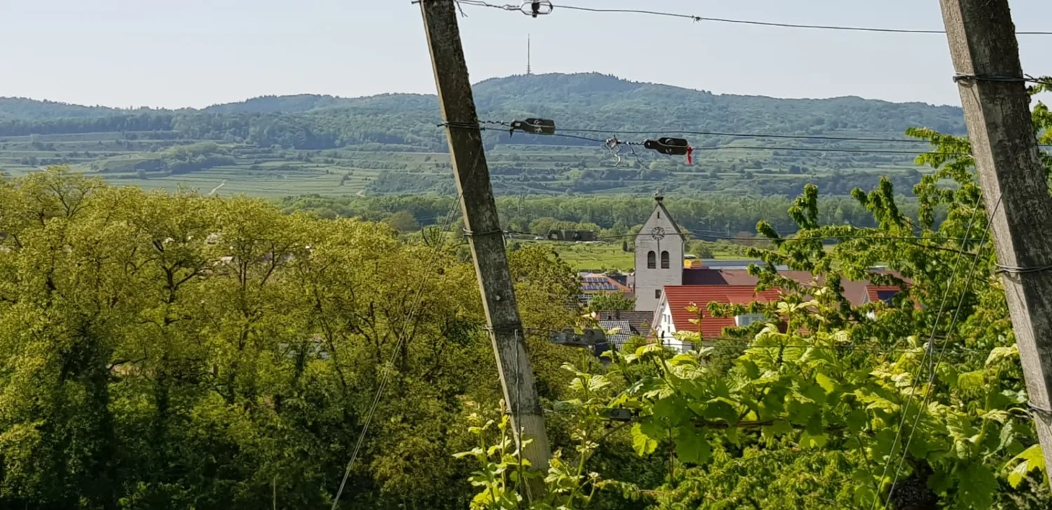 Zur Krone — photo 25