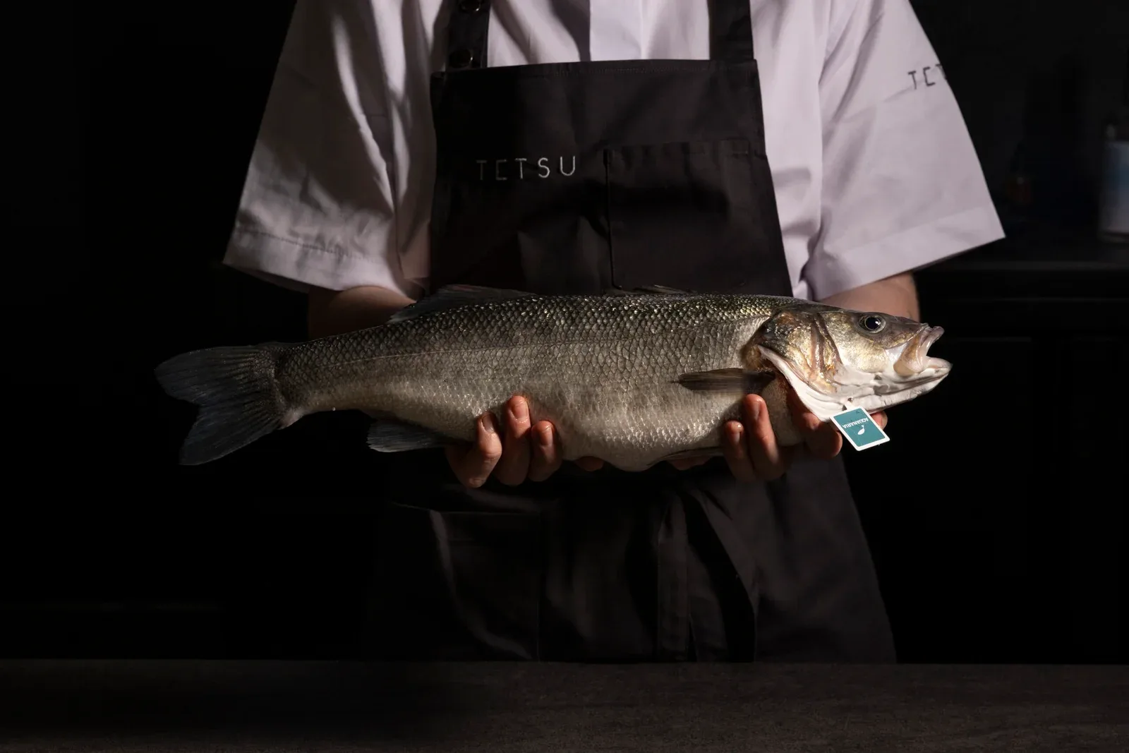 Tetsu — food