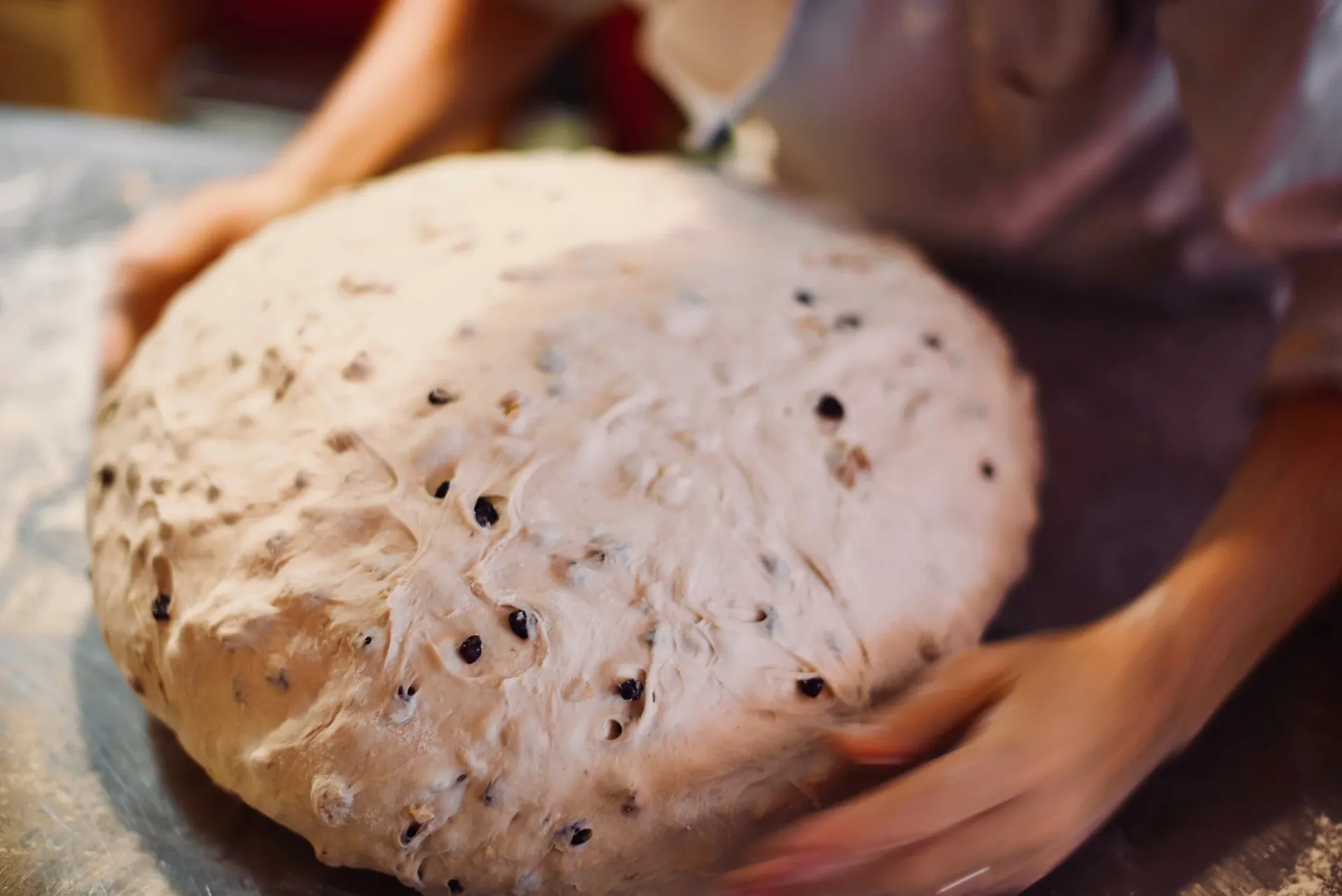 Levain Le Vin — photo 7