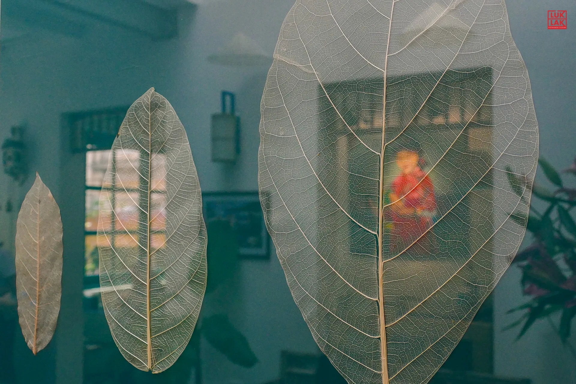 Luk Lak — photo 24