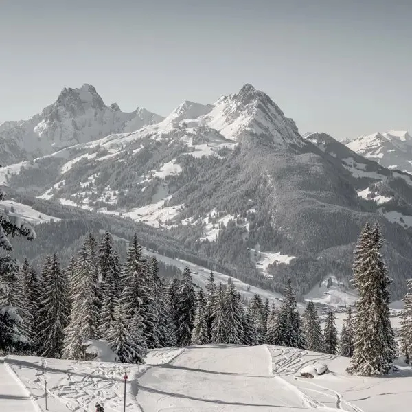 Gstaad Palace — photo 19