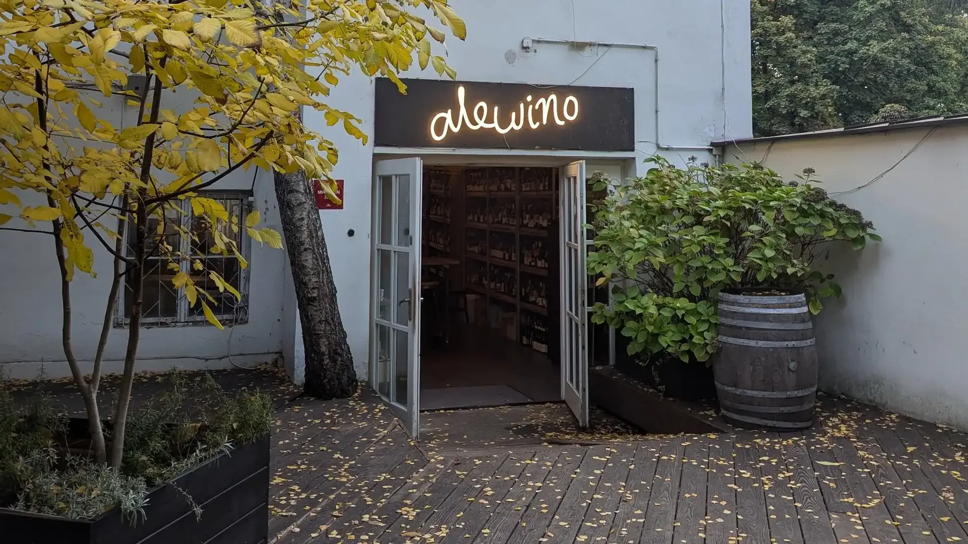 alewino — photo 6